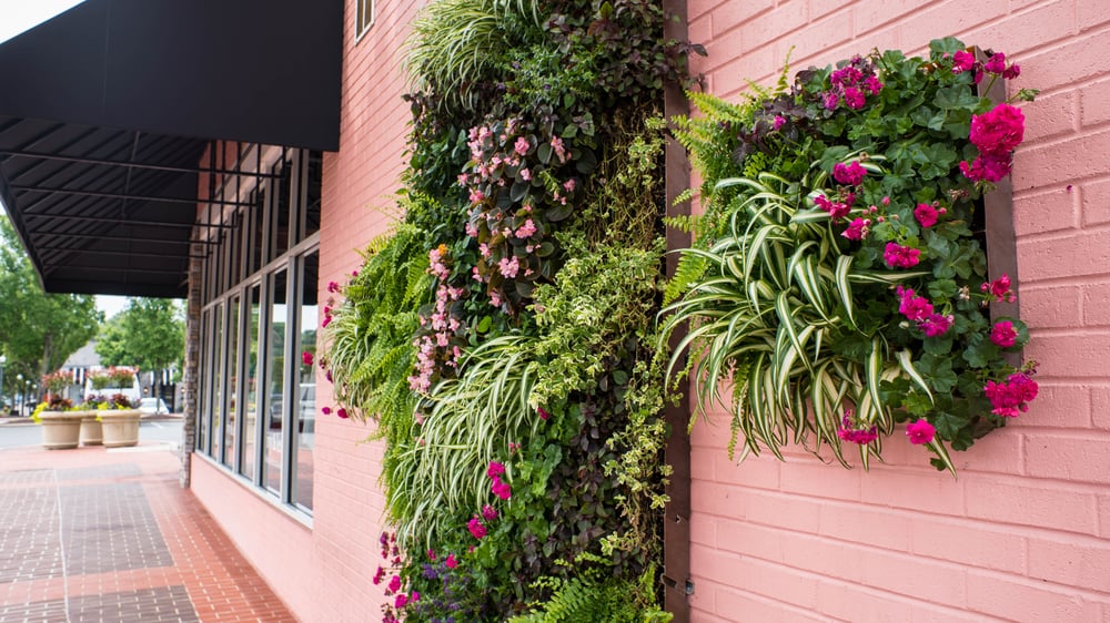 Living walls by created by Greenscape