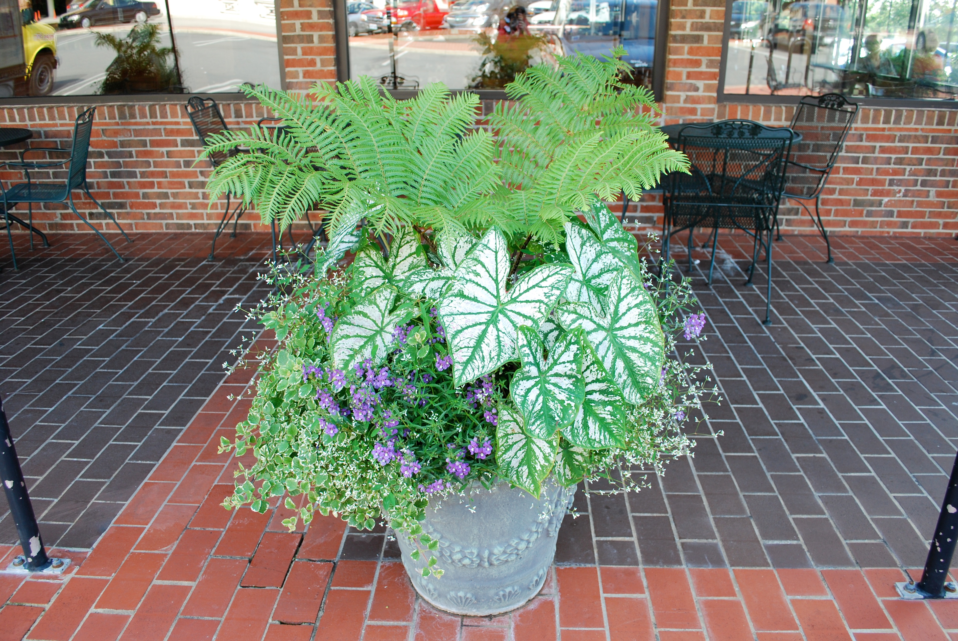 Retail landscape potted plant and sitting area