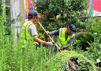 Greenscape team providing commercial landscaping services in NC
