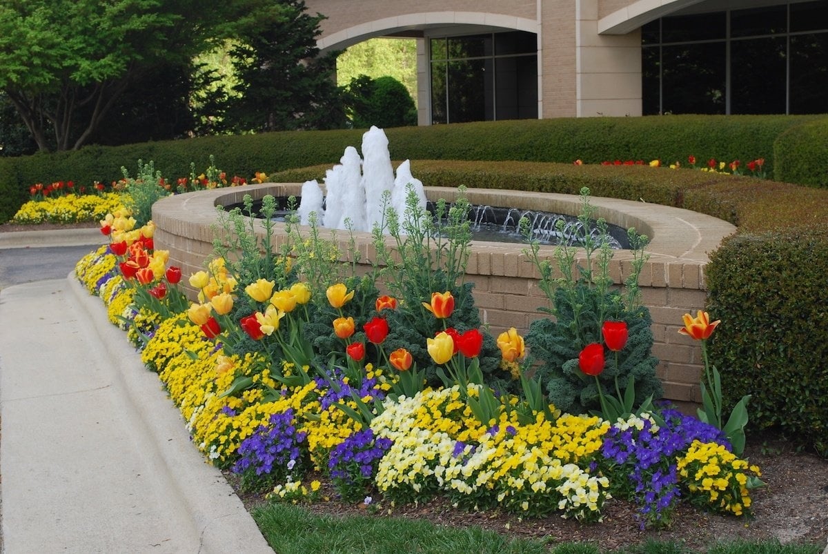 Pond with waterfall and flowers on commercial property