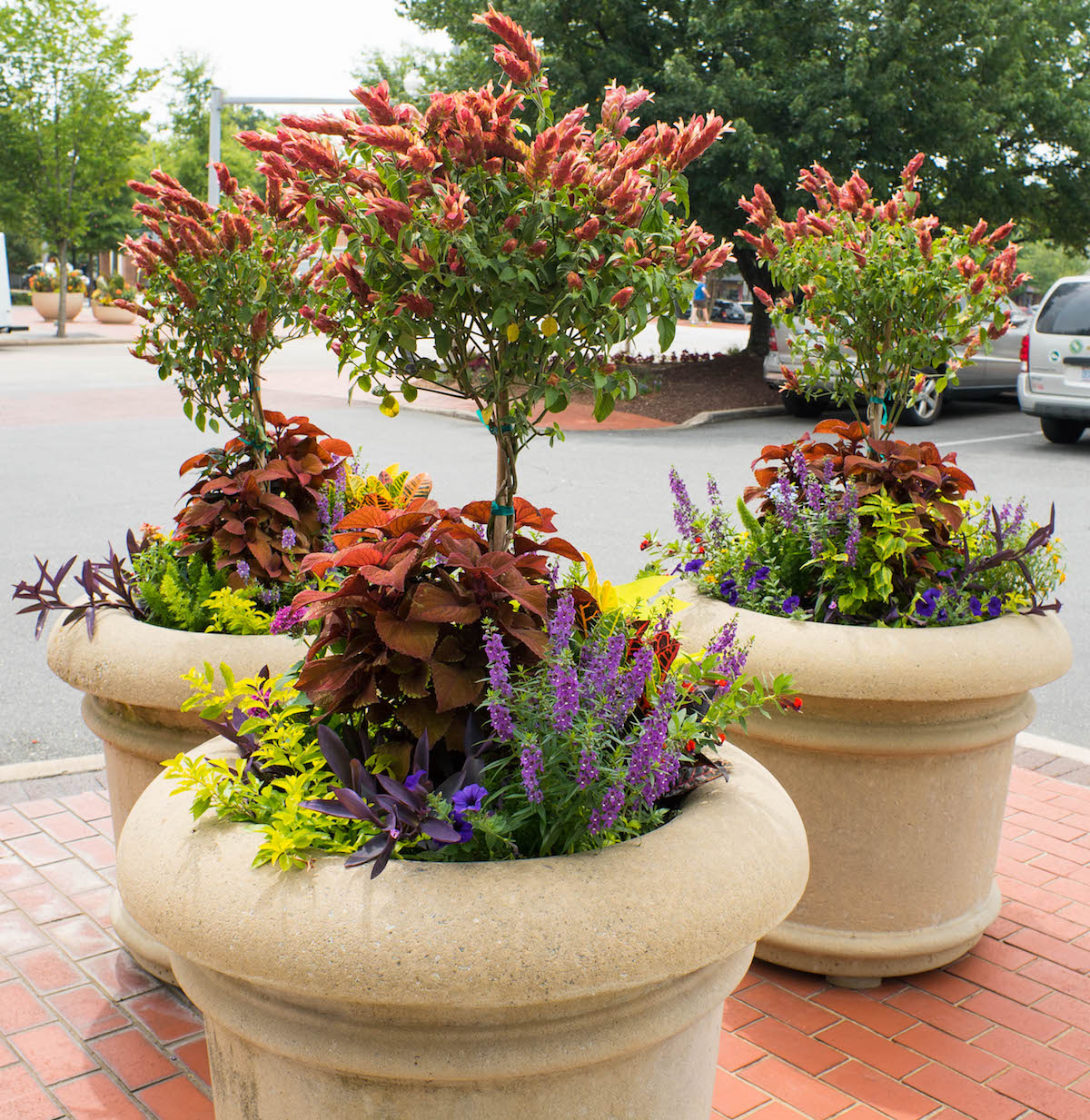 plant pots for hotel landscaping